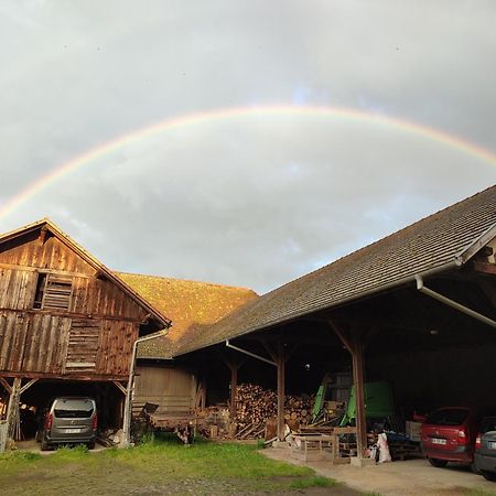 Chez Marguerite Gites A La Ferme Horbourg-Wihr Екстер'єр фото